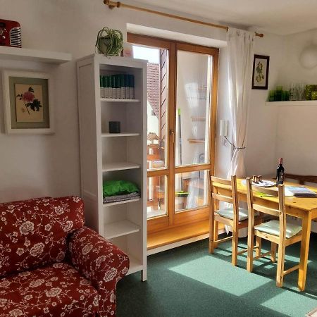 Apartman 6 U Sjezdovek 로끼뜨니쩨나드이제로우 외부 사진