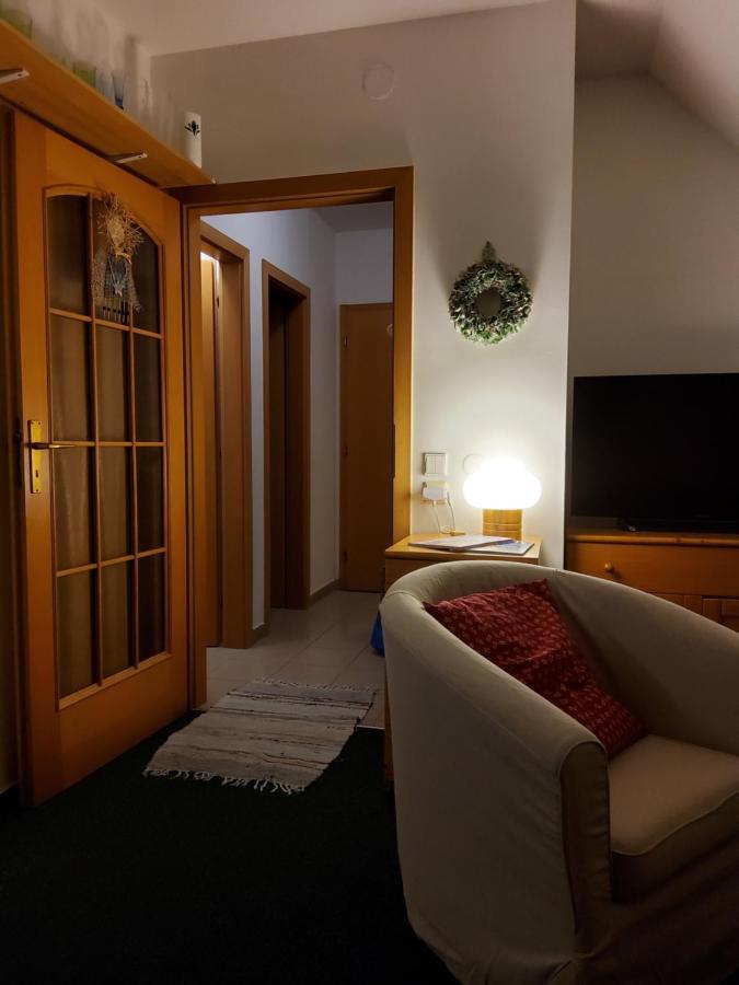 Apartman 6 U Sjezdovek 로끼뜨니쩨나드이제로우 외부 사진