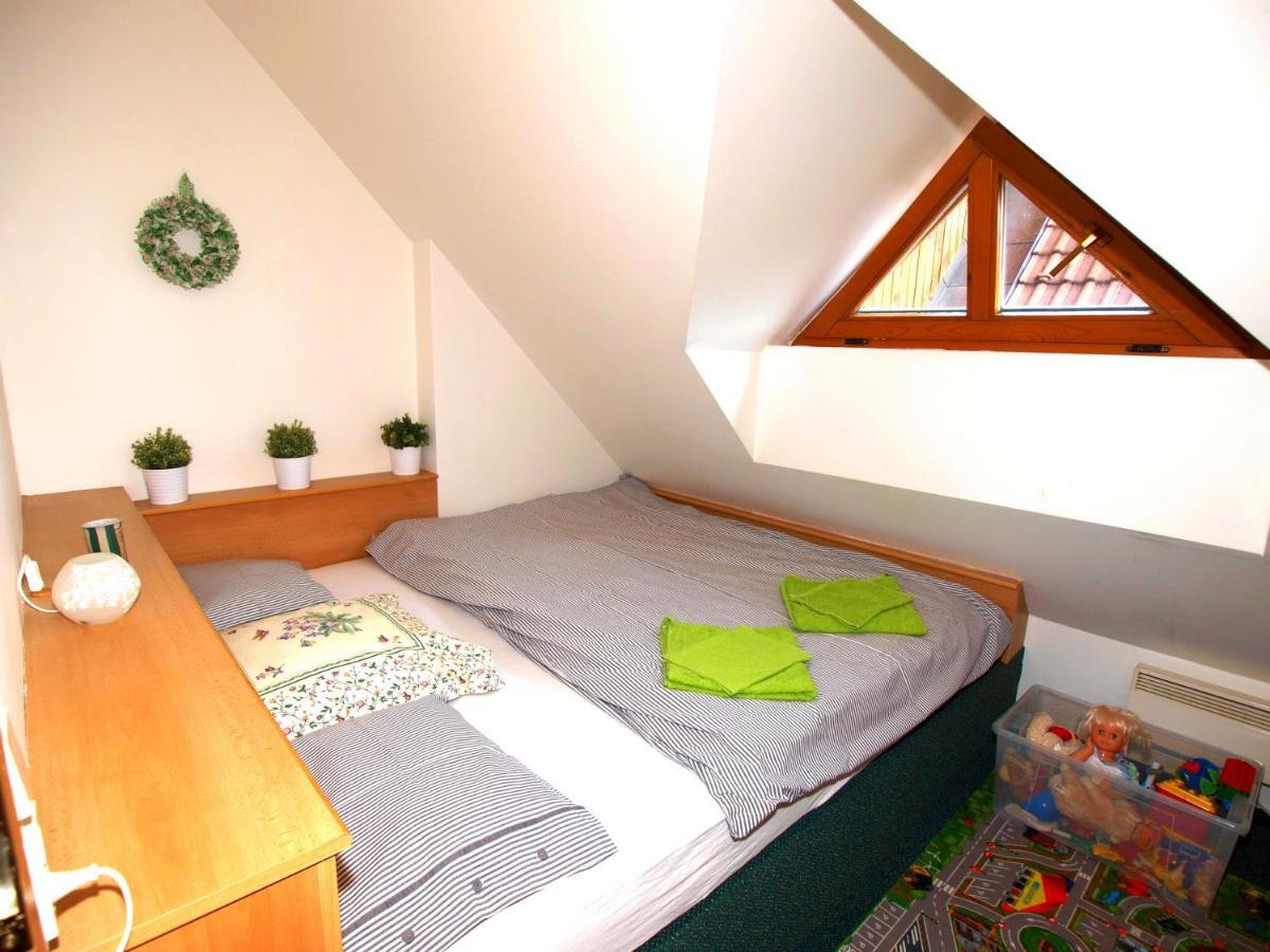 Apartman 6 U Sjezdovek 로끼뜨니쩨나드이제로우 외부 사진